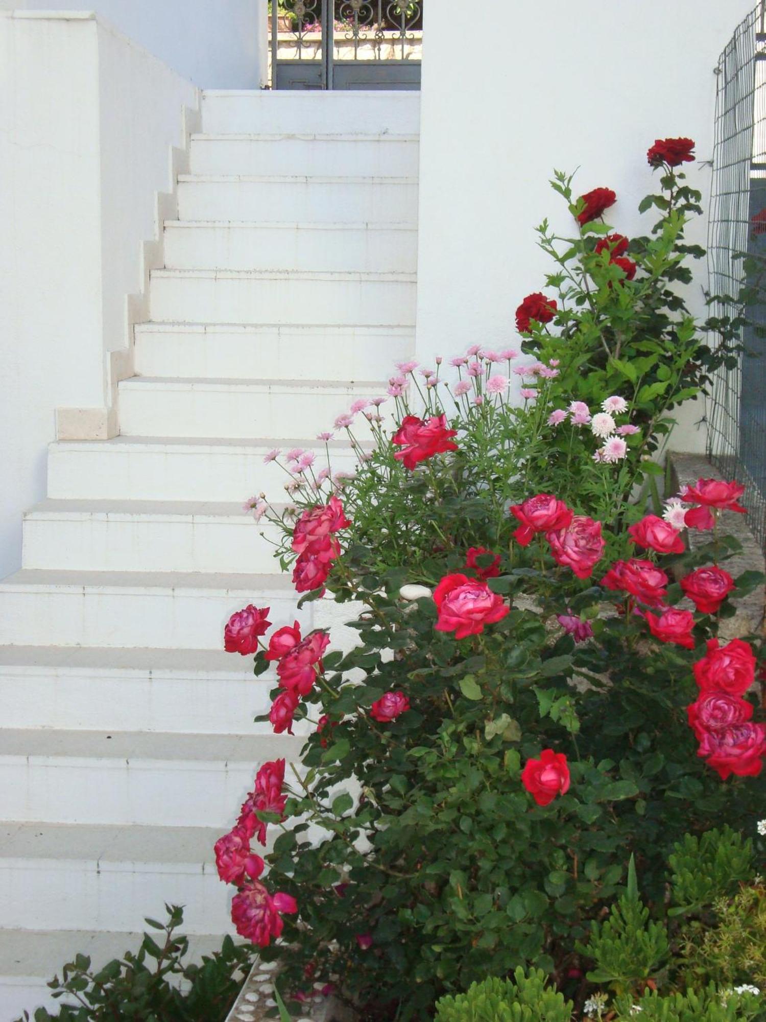 Guesthouse Iva ฮวาร์ ภายนอก รูปภาพ